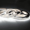 Kraftigt professionelt Ra97 LED strip 1200LM/M 6000K kold hvid, 5 meter