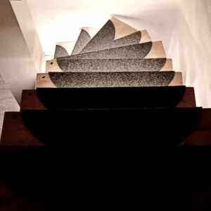 Alternative view of BELINDA Intelligent Trappelys