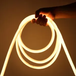 1-100 Meter 230V AC Neon Flex 3000K, IP65, Udendørs og Indendørs